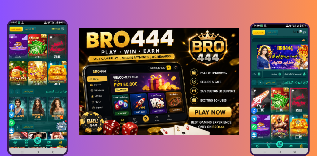 BRO444 Game Disclaimer 